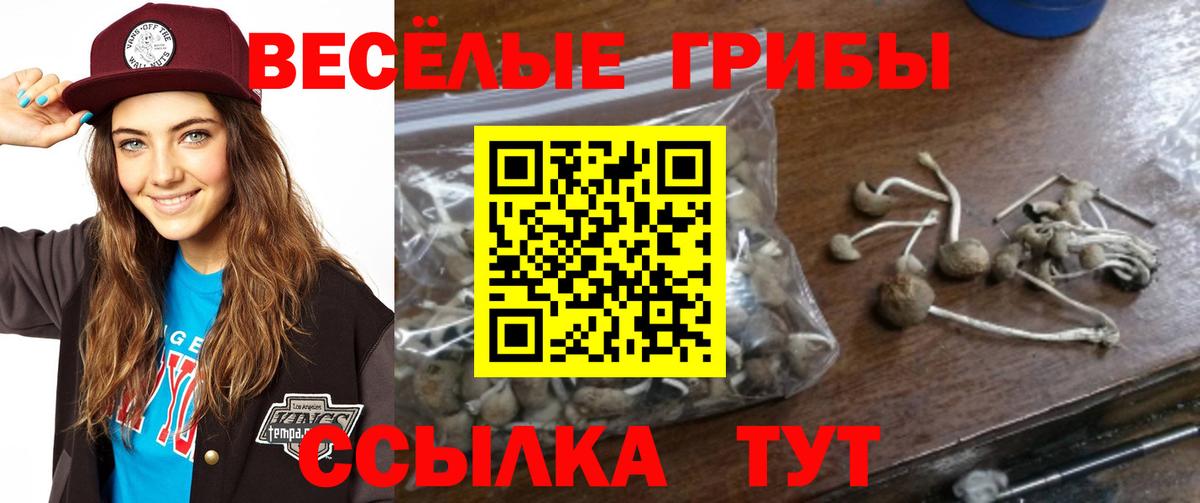 Псилоцибиновые грибы GOLDEN TEACHER Обнинск